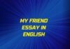my friend essay in english