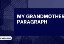 my grandmother paragraph ( বাংলা অর্থ সহ – সহজ ভাষায় ) কয়েক পড়াতেই মুখস্ত হবে my grandmother paragraph