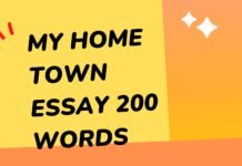 my home town essay 200 words ( বাংলা অর্থ সহ ) মুখস্ত হবে ১০ মিনিটেই my home town essay 200 words
