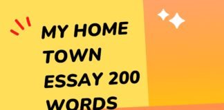 my home town essay 200 words