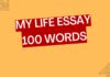 my life essay 100 words 1