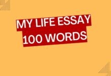 my life essay 100 words 1