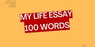 my life essay 100 words 1