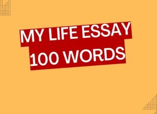 my life essay 100 words 1