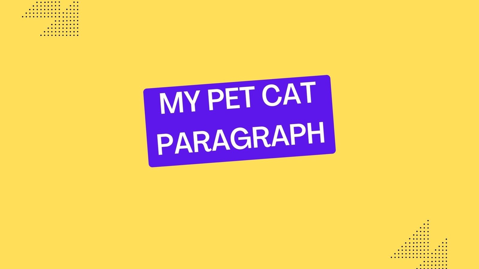 My Pet Cat Paragraph ( বাংলা অর্থ সহ ) সবচেয়ে সহজ শব্দে মুখস্ত হবে ...