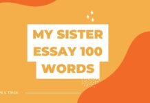 my sister essay 100 words ( বাংলা অর্থ সহ – সহজ ভাষায় ) কয়েক পড়াতেই মুখস্ত হবে my sister essay 100 words