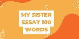 my sister essay 100 words
