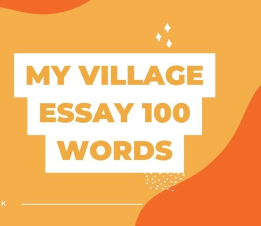 my village essay 100 words