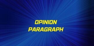 opinion paragraph
