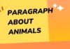 paragraph about animals