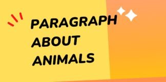 paragraph about animals