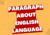 paragraph about english language