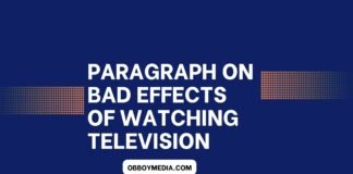 paragraph on bad effects of watching television