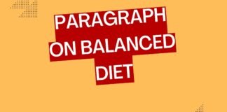 paragraph on balanced diet