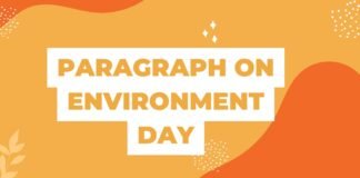 paragraph on environment day