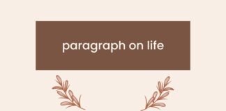 paragraph on life