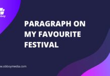 paragraph on my favourite festival
