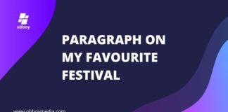 paragraph on my favourite festival