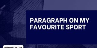 paragraph on my favourite sport 1