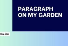 paragraph on my garden ( বাংলা অর্থ সহ – সহজ ভাষায় ) কয়েক পড়াতেই মুখস্ত হবে paragraph on my garden