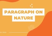paragraph on nature ( বাংলা অর্থ সহ – সহজ ভাষায় ) কয়েক পড়াতেই মুখস্ত হবে paragraph on nature