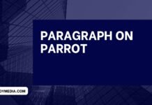 paragraph on parrot (বাংলা অর্থসহ) এটি লিখলে স্যার ফুল মার্ক দিবেই paragraph on parrot
