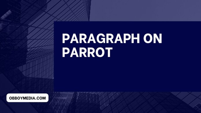 paragraph on parrot