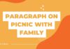 paragraph on picnic with family
