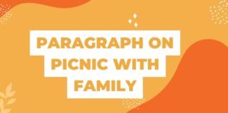 paragraph on picnic with family