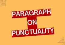 paragraph on punctuality