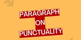 paragraph on punctuality