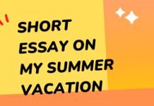 short essay on my summer vacation ( বাংলা অর্থ সহ ) মুখস্ত হবে ১০ মিনিটেই short essay on my summer vacation