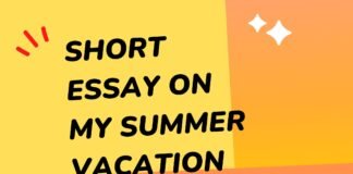 short essay on my summer vacation