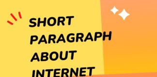 short paragraph about internet