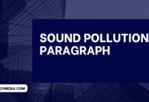 sound pollution paragraph ( বাংলা অর্থ সহ – সহজ ভাষায় ) কয়েক পড়াতেই মুখস্ত হবে sound pollution paragraph