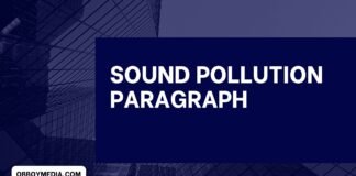 sound pollution paragraph
