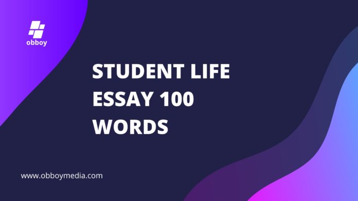 student life essay 100 words
