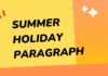 summer holiday paragraph