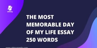 the most memorable day of my life essay 250 words