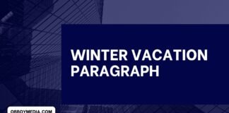 winter vacation paragraph