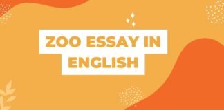 zoo essay in english