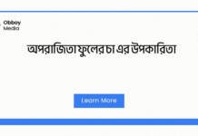 অপরাজিতা ফুলের চা এর উপকারিতা