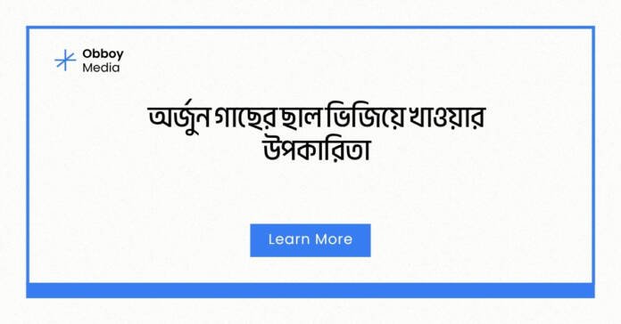 অর্জুন গাছের ছাল ভিজিয়ে খাওয়ার উপকারিতা অর্জুন গাছের ছাল ভিজিয়ে খাওয়ার উপকারিতা