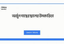 অর্জুন গাছের ছালের উপকারিতা