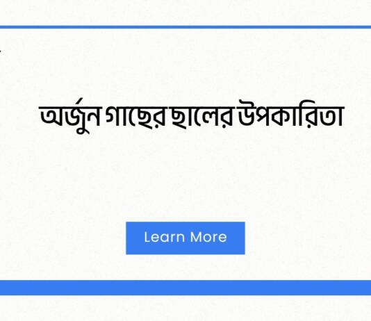 অর্জুন গাছের ছালের উপকারিতা