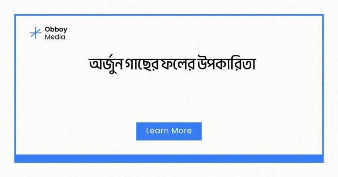 অর্জুন গাছের ফলের উপকারিতা অর্জুন গাছের ফলের উপকারিতা