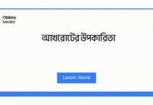 আখরোটের উপকারিতা: একটি ছোট বীজের বিশাল স্বাস্থ্যকর শক্তি আখরোটের উপকারিতা