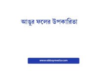 আঙুর ফলের উপকারিতা: স্বাস্থ্যের জন্য একটি আশ্চর্যজনক খাবার আঙুর ফলের উপকারিতা