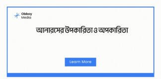 আনারসের উপকারিতা ও অপকারিতা