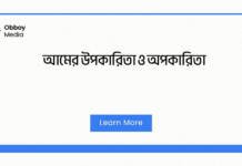 আমের উপকারিতা ও অপকারিতা